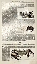 Página 184 (cap. XIX, segunda parte) de uma versão colorida de 1648.