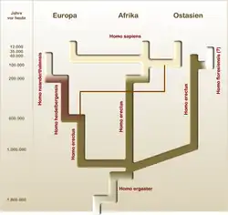 Homo splitter (deutsch)-2