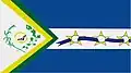 Bandeira de São João d'Aliança