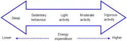 Intensity of activity on a continuum from sedentary behavior through to vigorous activity intensity.