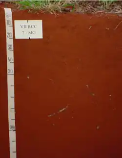 Latossolo Vermelho (SiBCS, 2018)