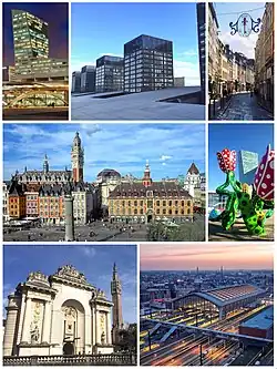 Da esquerda para a direita: Torre de Lille, algumas torres de Euralille, a Rue de la Clef em Old Lille, Place du Général-de-Gaulle, escultura de tulipa Shangri-La, Porte de Paris com o campanário do Hôtel de Ville e a estação de Lille-Flandres