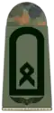 Alemanha:Oberfähnrich