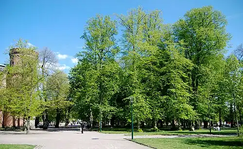 O parque Lundagården