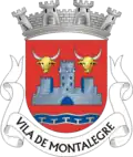 Brasão de Montalegre
