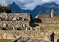 Lhamas en Machu Picchu