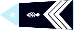 Gendarmerie Francesa(Maréchal des logis-chef )