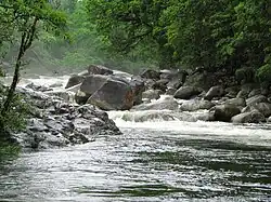 Rio Mossman durante a estação chuvosa.