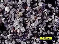 vários fragmentos microscópicos de cinza vulcânica