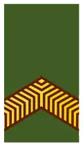Exército dos Países Baixos(Korporaal)