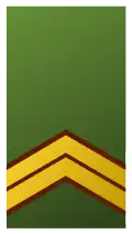 Exército dos Países Baixos:Sergeant-majoor