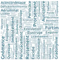 Neologismos franceses