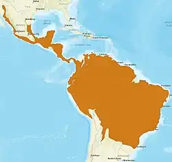 Distribuição da jaguatirica