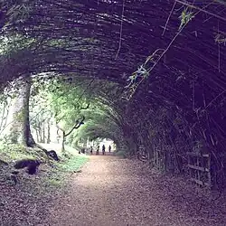 &nbsp;Parque CEMUCAM (Cotia).