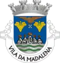 Brasão de Madalena