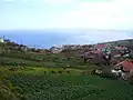 Campos agrícolas na Calheta
