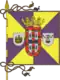 Bandeira de Caldas da Rainha