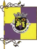 Bandeira de Carregal do Sal