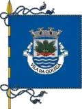 Bandeira de Golegã