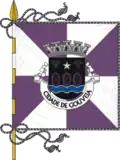 Bandeira de Gouveia