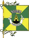Bandeira de Mangualde