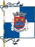 Bandeira de Montalegre