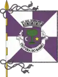 Bandeira de Oliveira do Bairro