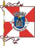 Bandeira de Santa Maria da Feira