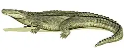 Purussaurus, um crocodiliano