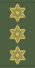 Dinamarca:Generalløjtnant