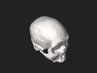 Crânio 3D de um indígena brasileiro reconstruído por Cícero Moraes