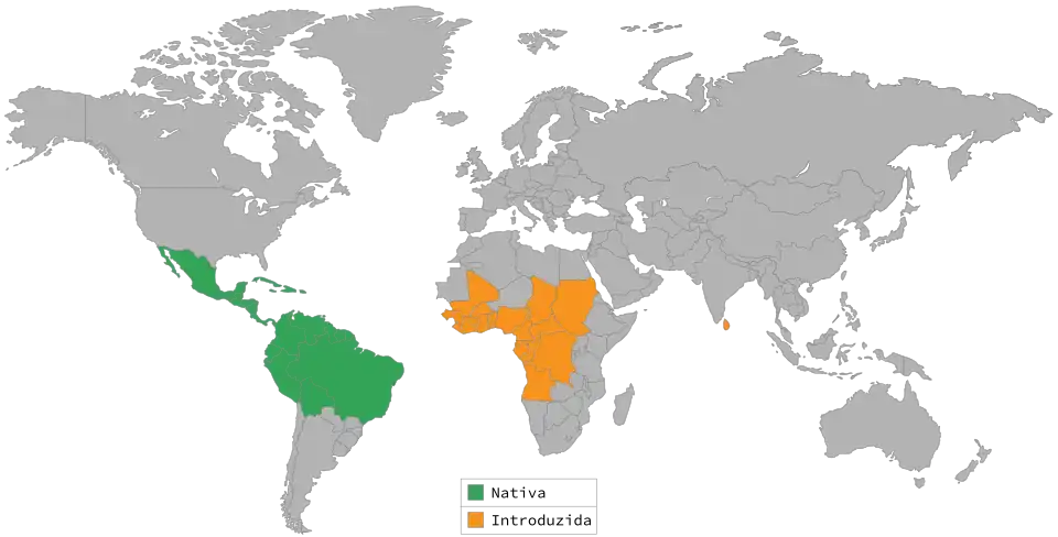 style="padding-bottom:10px;"