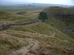 Sycamore Gap (the "Robin Hood Tree")