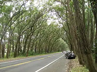 Distrito Túnel Verde do município