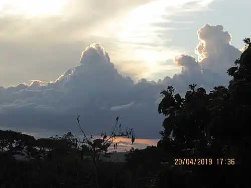 Paisagem natural em Floresta Azul, no final da tarde