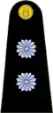 Exército Argentino(Teniente Primero)
