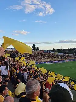 Torcida do Novorizontino em 2024