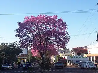 Vista parcial da cidade.