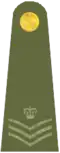Exército Britânico(Staff Sergeant)