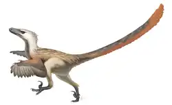 Velociraptor mongoliensis um terópode