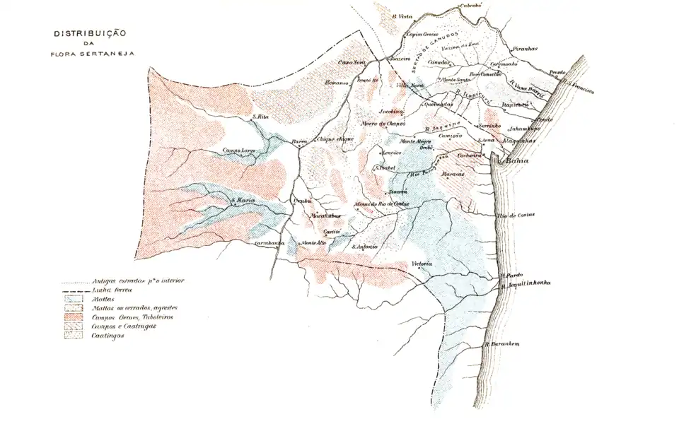 DISTRIBUIÇÃO DA FLORA SERTANEJA
