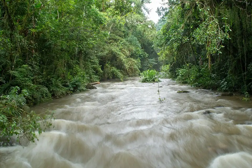 Rio Batari